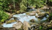 Trail Walking Montriond - Lac de Montiond et cascade de l Ardent - Photo 6