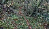 Tour Elektrofahrrad Saint-Clément - sortie vtt 01112023 deneuvre - Photo 1