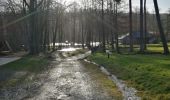 Trail Walking Saint-Hubert - SityTrail - Mirwart 10.1 km - Photo 7