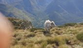 Tour Wandern Unknown - Le pic de Savis - Photo 8