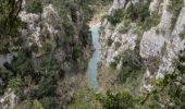 Trail Walking Brissac - Issensac - ravin des arcs  - Photo 5