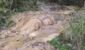 Randonnée Marche Choranche - Presles grotte de Gournier et de balme rousse - Photo 9