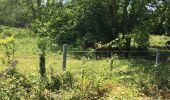 Randonnée Marche Mées - Circuit des Barthes Neuves Mées le 8juin 2019 - Photo 10