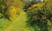 Tour Wandern Kerpert - circuit des moulins, Kerpert - Photo 1