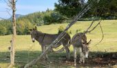 Tocht Stappen Saint-Agnan-en-Vercors - Col de soulier - Photo 5