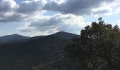 Tour Wandern Pierrefeu-du-Var - La portanière   Le Fedon      - Photo 2