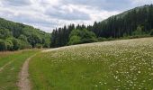 Trail Walking Burg-Reuland - Gr5 : Burg-Reuland-Duisburg  - Photo 5