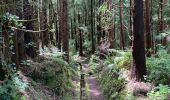 Trail Walking Flamengos - FAI GR01 : De volcan en volcan, Faial, Azores - Photo 9