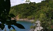 Randonnée Marche Pointe-Noire - 971 de Petit Malendure à l'anse Colas - Photo 1