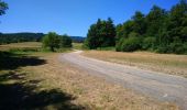 Tour Wandern Marsac-en-Livradois - Étang de Riols  - Photo 2