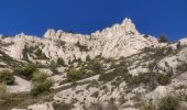 Trail Walking Marseille - Rando calanque Morgiou  - Photo 5