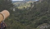 Trail Walking Brignoles - l'Amarron - Photo 1