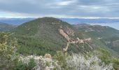 Excursión Senderismo Saint-Raphaël - Esterel : entre calanque, pics et ravins - Photo 6