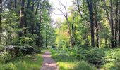 Trail Walking Spa - artistes . nelis . geronster . meyerber . artistes  - Photo 11