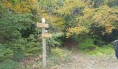 Randonnée Marche nordique Lauroux - Labeil Forêt de L'Escandorgue Roquet Escu - Photo 3