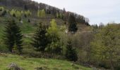 Tour Wandern Masevaux-Niederbruck - Bruckenwald 2 - Photo 10