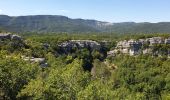 Trail Walking Tourves - Les Gueules Rouges - Photo 2