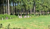 Excursión Senderismo Martelange - Club canin chestrolais juin 2019 - Photo 2