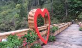 Trail On foot Ronco Canavese - Ronco Canavese - Valprato Soana, loc. Chiesale - Photo 4