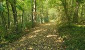 Excursión Bici eléctrica Ronse - Renaix - Mont de l'Enclus - Wittentak - Photo 20