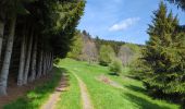 Tocht Stappen Le Hohwald - Hohwald - Rothlach - Neuntelstein - Photo 10