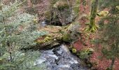 Trail Walking Le Tholy - Les 2 cascades du Tendon (grand tour) - Photo 10