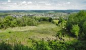 Trail Mountain bike Virton - Chemin transfrontalier des mines de fer  -  Balade_VTT_51kms - Photo 10