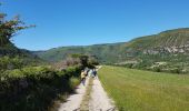 Tour Wandern Lauroux - Lauroux - Photo 13