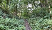 Trail Walking Quévy - Genly 19,3 km - Photo 2