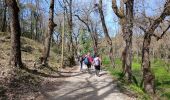 Randonnée A pied Camps-la-Source - Le rocher du Gueit Camps la Source 28-03-2025 - Photo 4