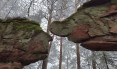 Randonnée Marche Sturzelbronn - Neunhoffen - Le petit Hundskopf - Photo 4