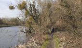 Trail Walking Seneffe - arquennes vieux canal gr bois de l hôpital ravel - Photo 1