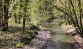 Trail Walking Honnelles - Promenade du caillou qui bique  - Photo 9