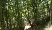 Trail Walking Orcines - Ballade autour des Puys  - Photo 1