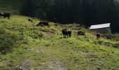 Tocht Noords wandelen Arbaz - Dorbon - Photo 1