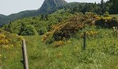 Randonnée Marche Les Estables - monts d'ardeche - Photo 1