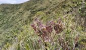 Randonnée Marche Quiroga - Laguna de Cuicocha - Photo 14