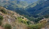 Tour Wandern Saint-André-de-Valborgne - aire de côté à l aigoual - Photo 4