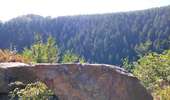 Trail Walking Malmedy - Le pouhon des cuves   - Photo 1