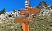 Tour Wandern Péone - Mont Mounier - Photo 8