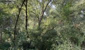 Tour Wandern La Charité-sur-Loire - Balade le long de la Loire - Photo 4