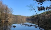 Tour Zu Fuß Schlaubetal - Gelber Wanderweg - Photo 10