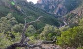 Tour Wandern Saint-Raphaël - Pk Belle Barbe - Ravin du Perthus - Ravin du Mal Infernet - Photo 3