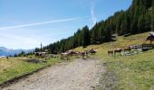 Trail Walking Embrun - 05 boucle lac Hivernet 9.5km 760m - Photo 11