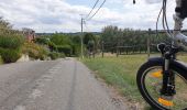 Trail Electric bike Ronse - Balade vélo  - Photo 1