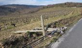 Tour Wandern Saint-Jean-de-la-Blaquière - Saint Jean de la Blaquière 26 Février 2020 - Photo 10