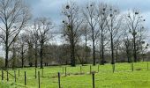 Tocht Stappen Holsbeek - Sin Pieter Rode  - Photo 11