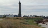 Randonnée Marche Penmarc'h - GR34 St Guénolé -- Lesconil - Photo 8