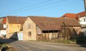 Tour Zu Fuß Löberschütz - Alter Gleisberg weiss-gelb-weiss - Photo 4