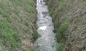 Trail Walking Crouy-sur-Ourcq - Marais de Negando et le Clignon depuis Crouy sur Ourcq - Photo 9